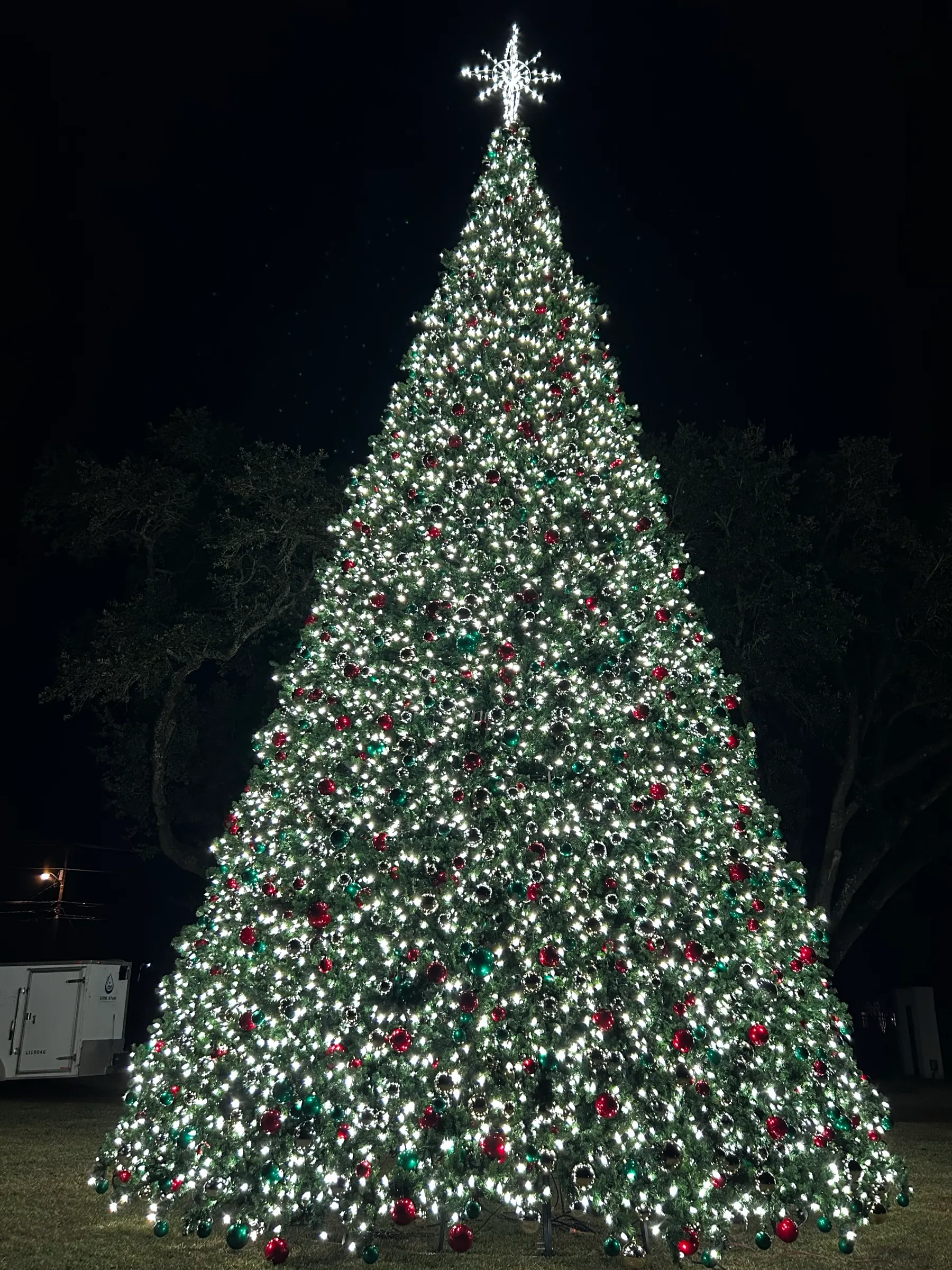 Full height view of a lit commercial Christmas tree with a star topper against a black night sky.