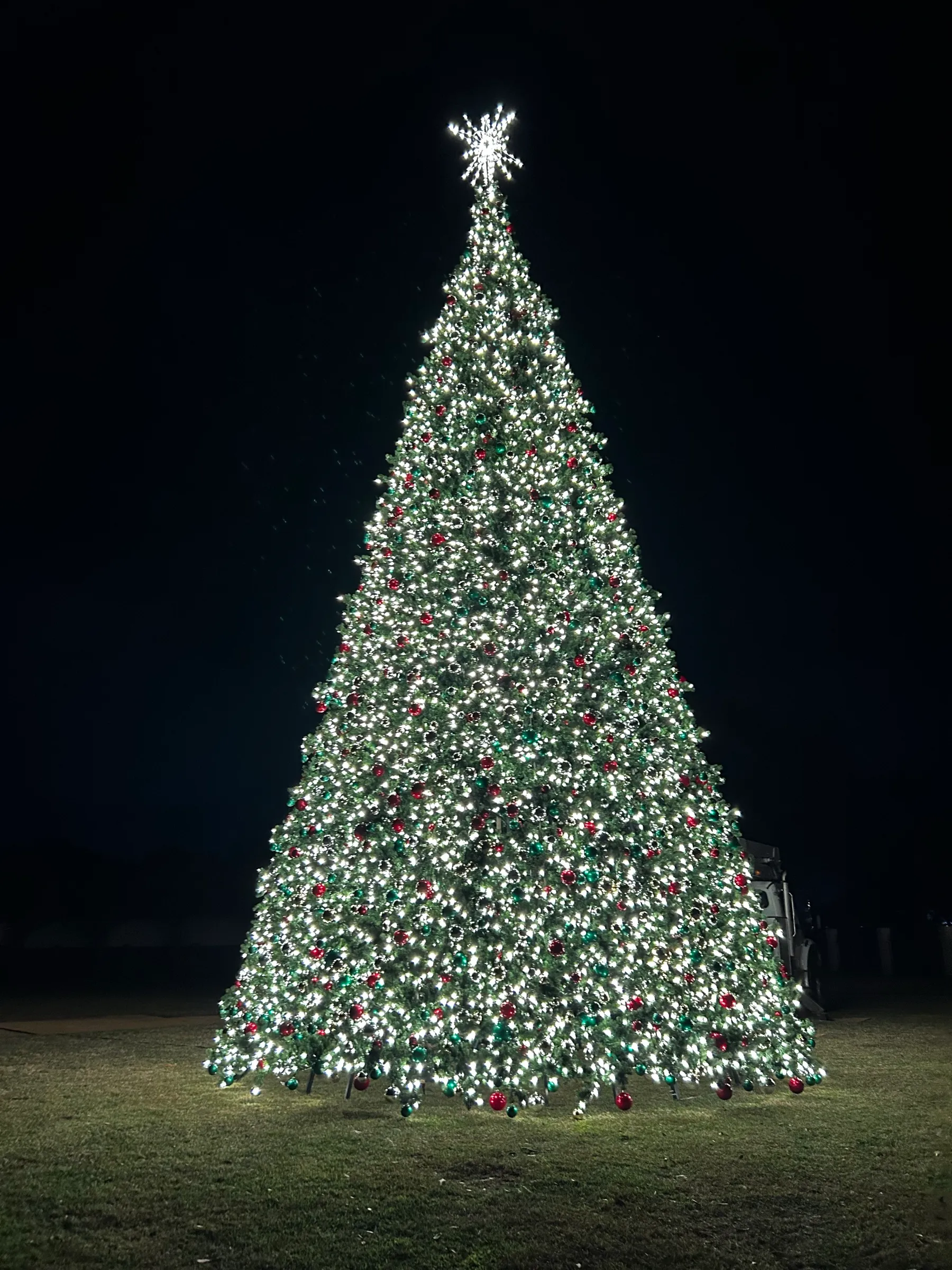 A large lit commercial Christmas tree seen across an open plaza lawn after dark.