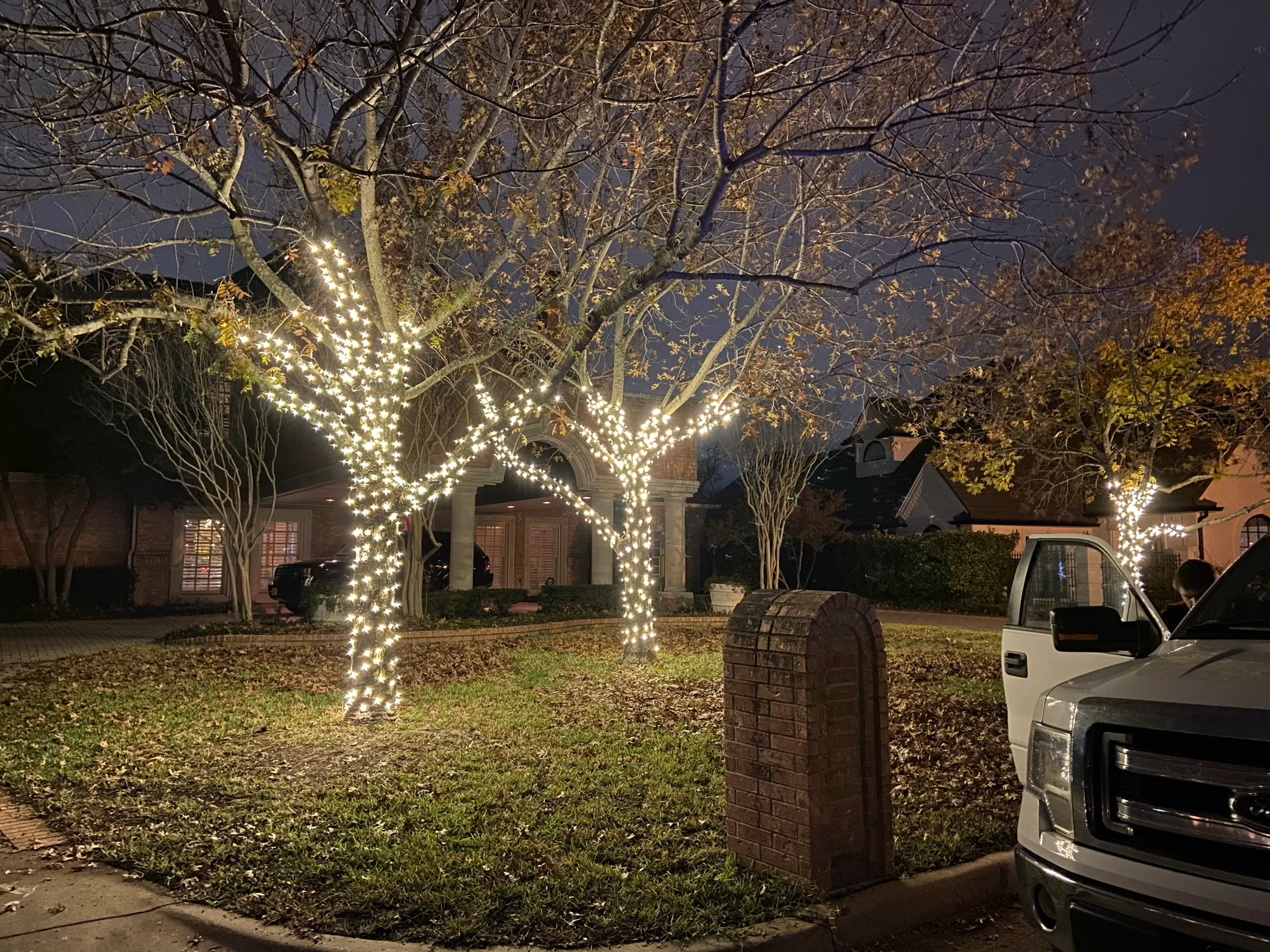 Wrapped trees lining a property drive at night, lighting the approach from both sides.