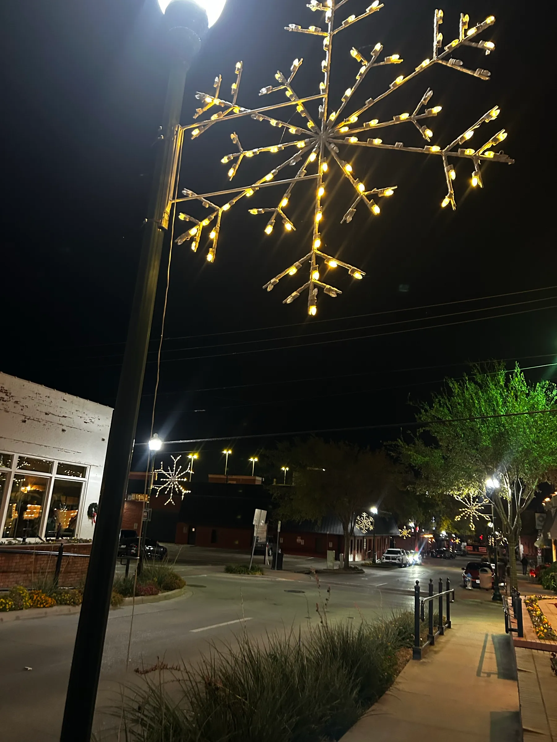 A lit snowflake mounted on a street pole above a downtown sidewalk at night.