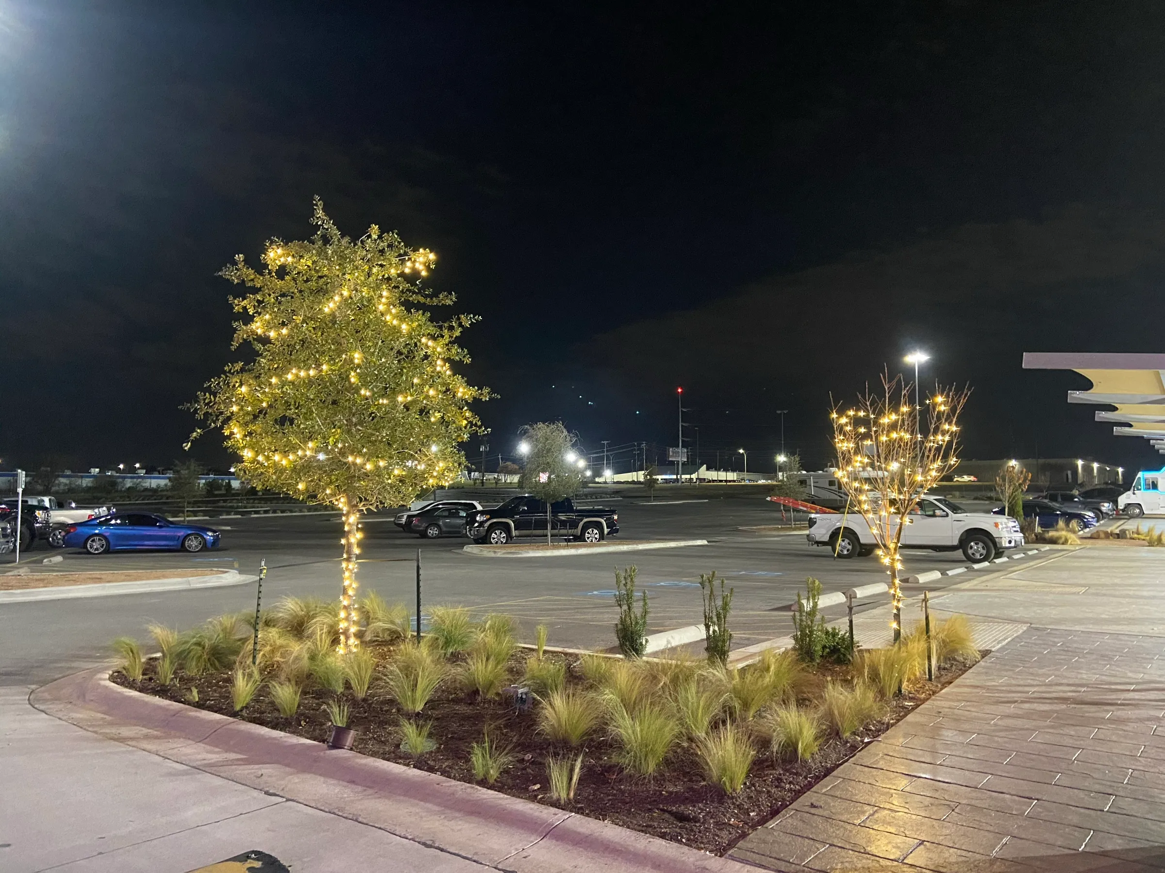 Trees wrapped trunk and canopy in warm white lights across a retail centre parking lot at night.