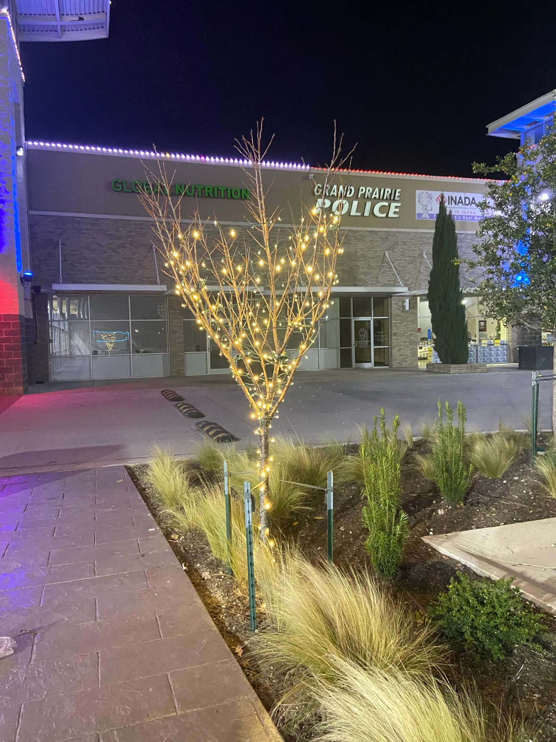 A wrapped tree lighting a pedestrian walkway at a retail centre after dark.